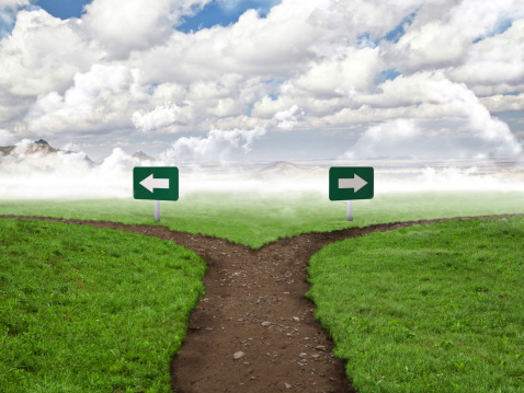 EU medical device laws and natural products: loophole or opportunity? 669bc1c2b9a0c.jpeg