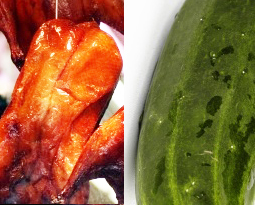 EU protectionism discriminates against Chinese cuisine and bendy veg 669bde7826020.jpeg