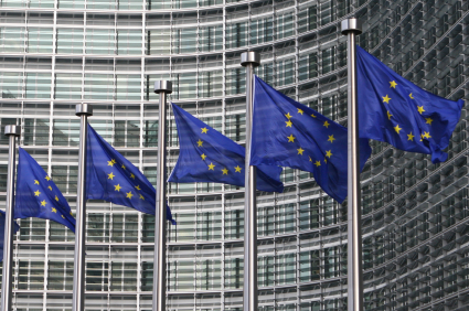 European Parliament questions swine flu vaccine safety 669bda73d33f5.jpeg