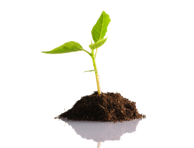 Exposing biotech industry misinformation about GM and conventional plant breeding 669bd01475b41.jpeg