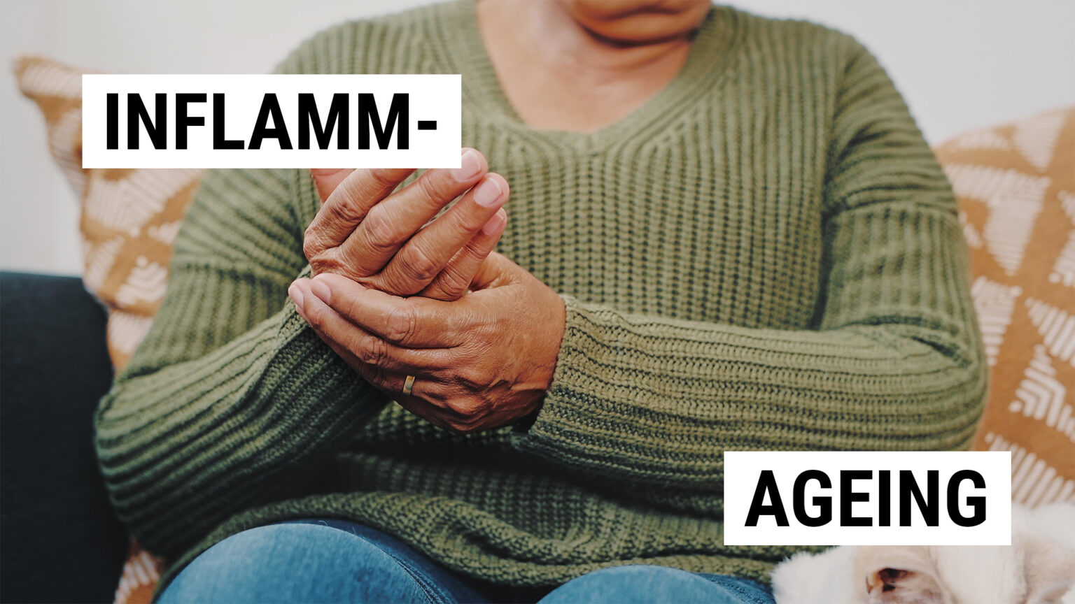 Feature: Inflammaging—when older age, the modern world and our immune systems conspire 669a82db6d882.jpeg
