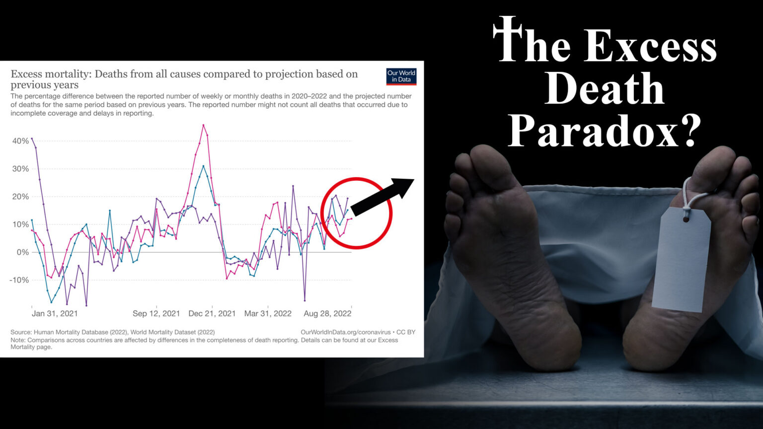 Feature: People are dying unexpectedly – why the silence? 669b0887f30de.jpeg