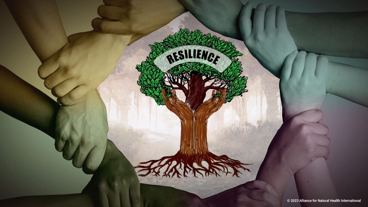 FEATURE: Resilience and the values crisis – critical time for reappraisal 669a9520a0891.jpeg