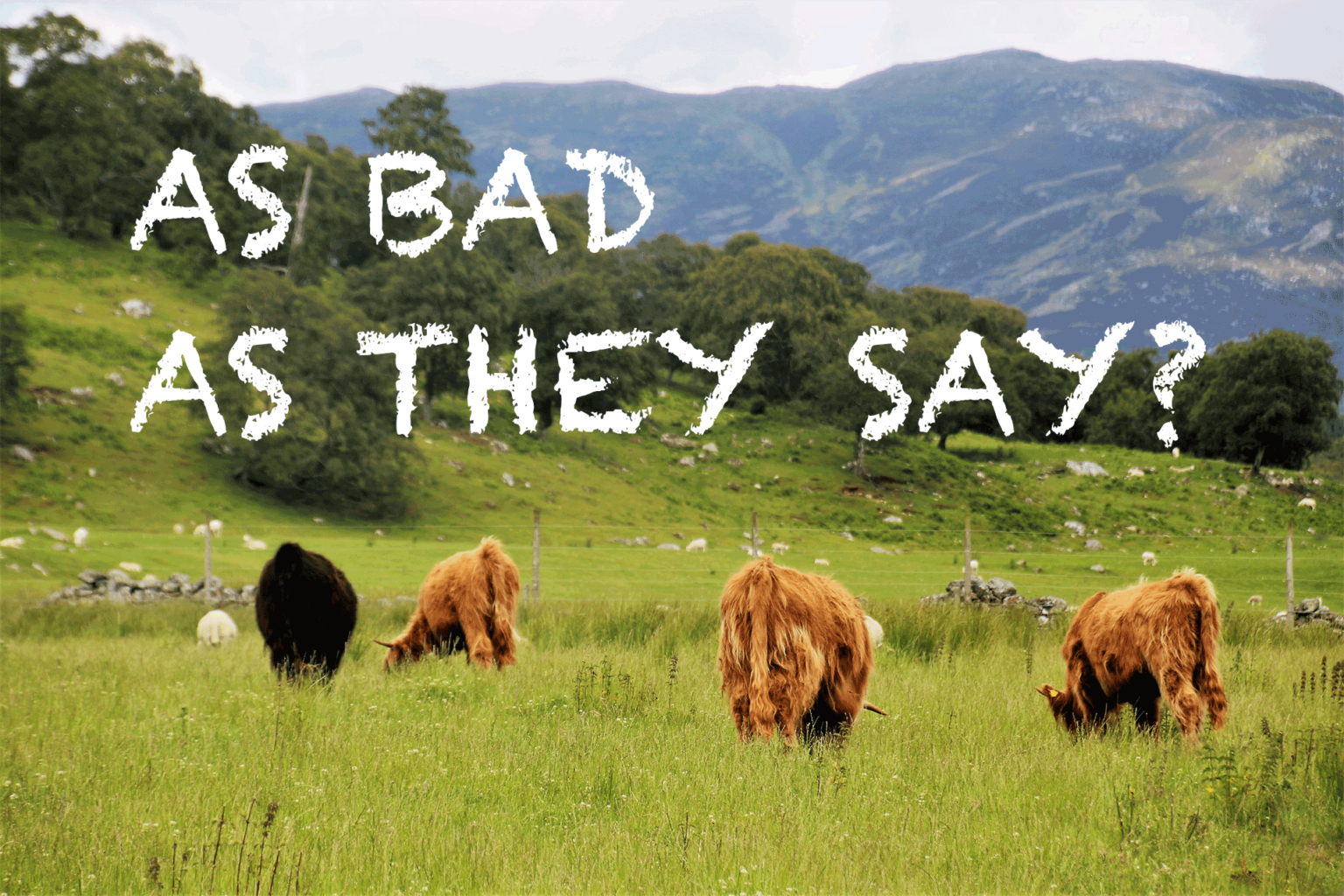 Feature: The red meat witch hunt exposed 669b5ecb71e59.png