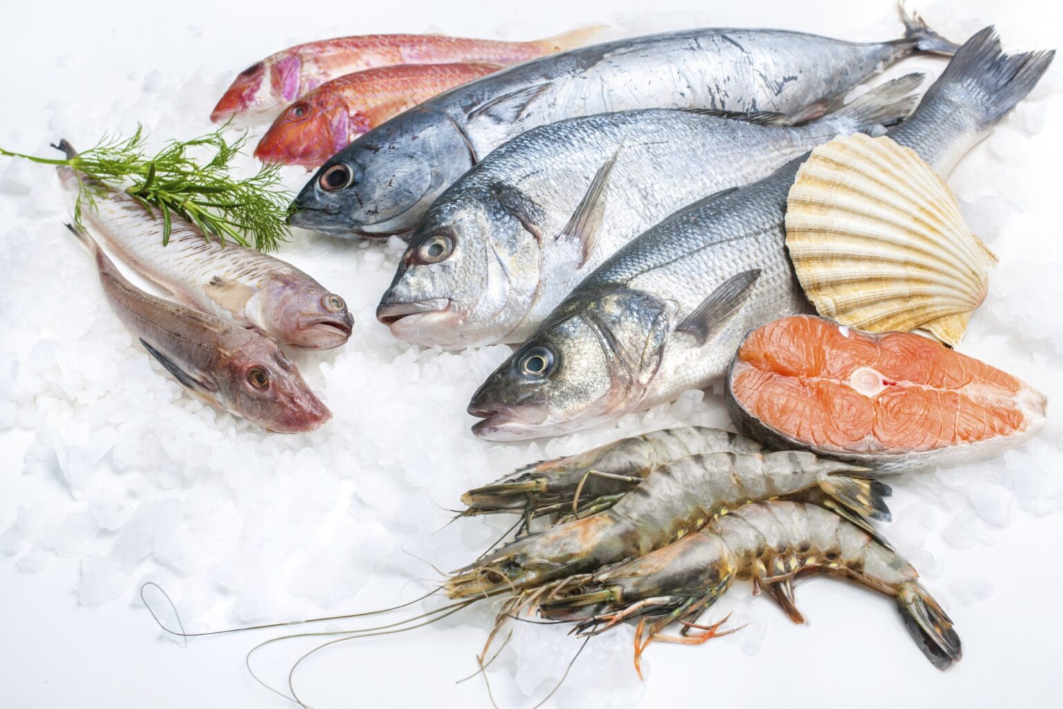 Fishing: have we reached the end of the line? 669bbc815558d.jpeg