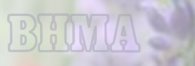 Frequently asked questions about quality and regulation of herbal products 669bd2678de2e.jpeg