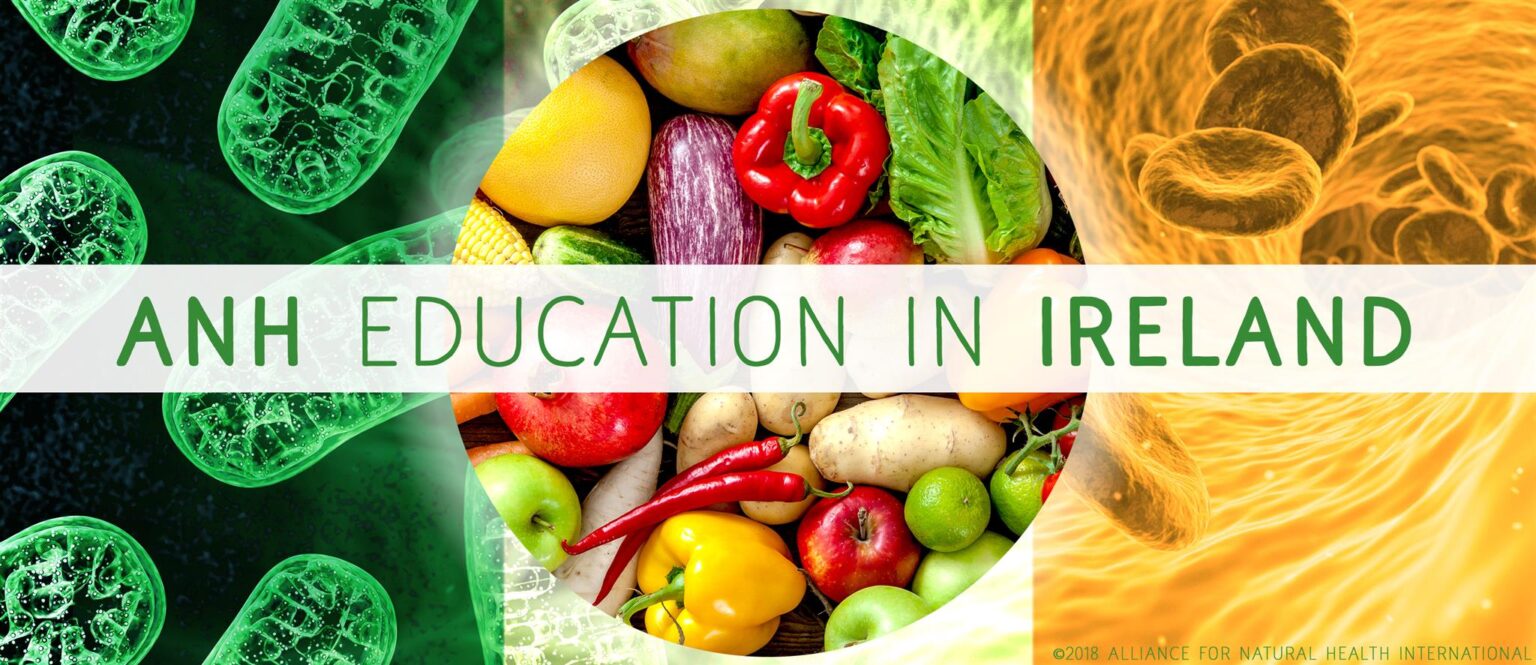 From thyroid and mitochondria, to low carb and sustainability: ANH education in Ireland 669baf6bef5c1.jpeg