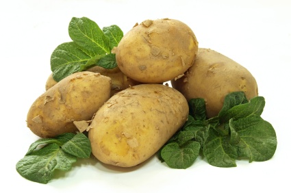 GM Potato research abandoned in UK 669bdb4eee95b.jpeg