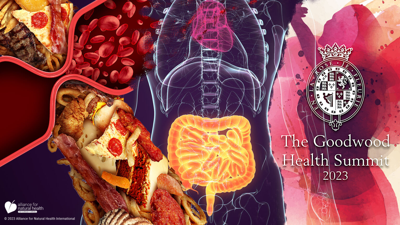 Goodwood Health Summit: scientific uncertainty, diverse views and common grounds 669a90eca4cfb.jpeg