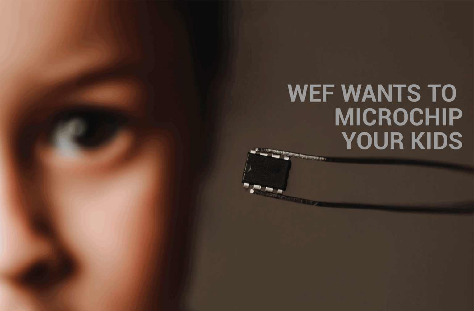 Guest article: The Next Step to Transhumanism 669b09387c772.png