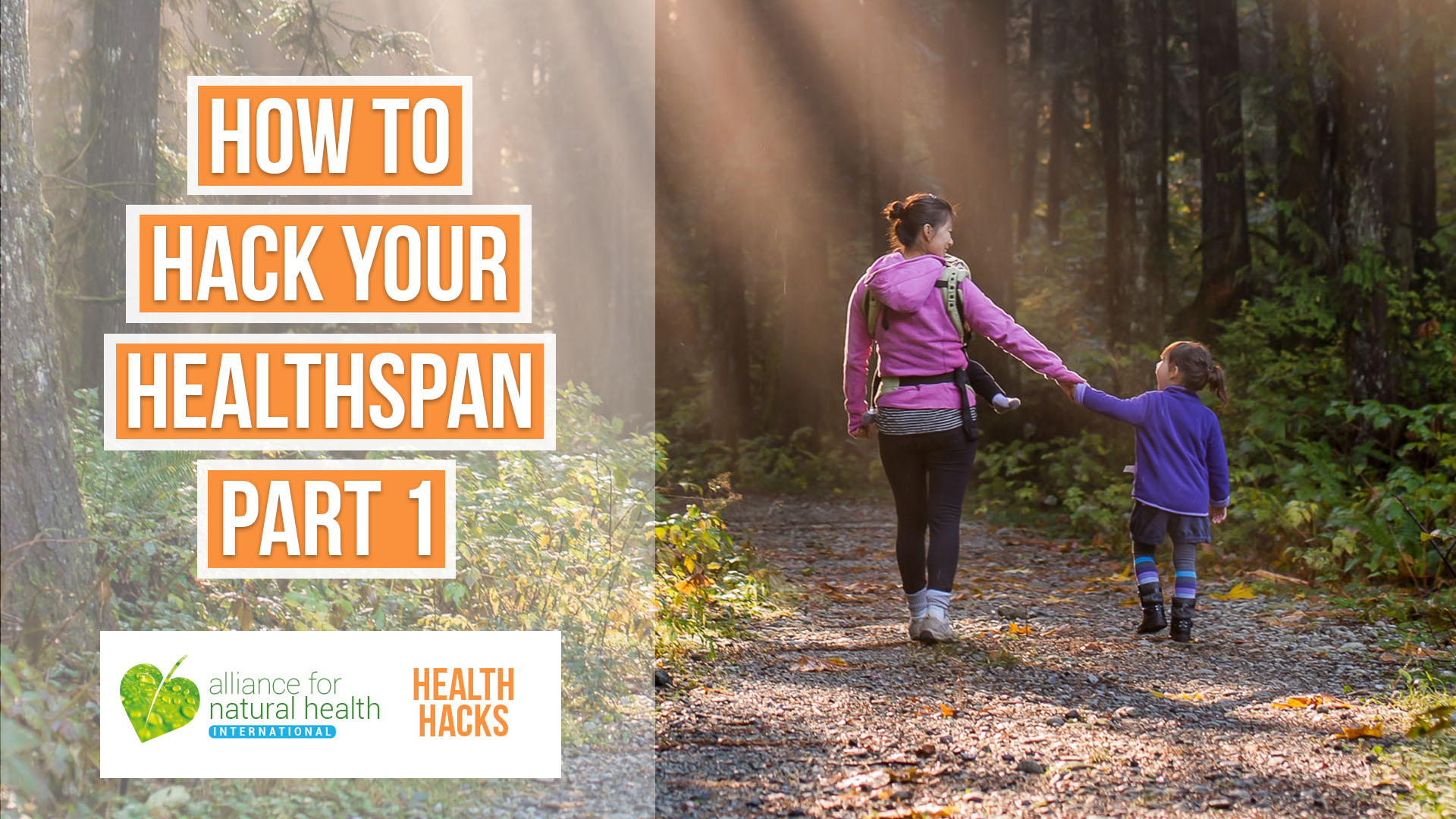 Hacking your Healthspan Part 1 669a557de7a87.jpeg