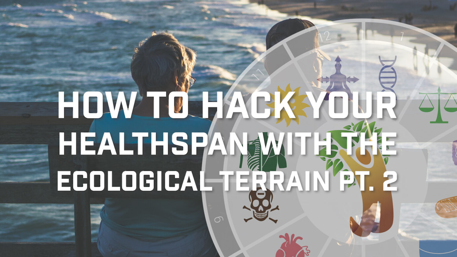 Hacking Your Healthspan Part 2 669b92847097c.jpeg