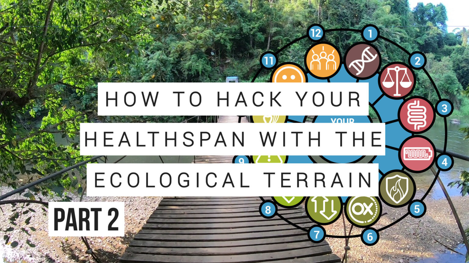 Hacking your lifespan via your Ecological Terrain – Part 2 669b5e4d2f3a7.jpeg