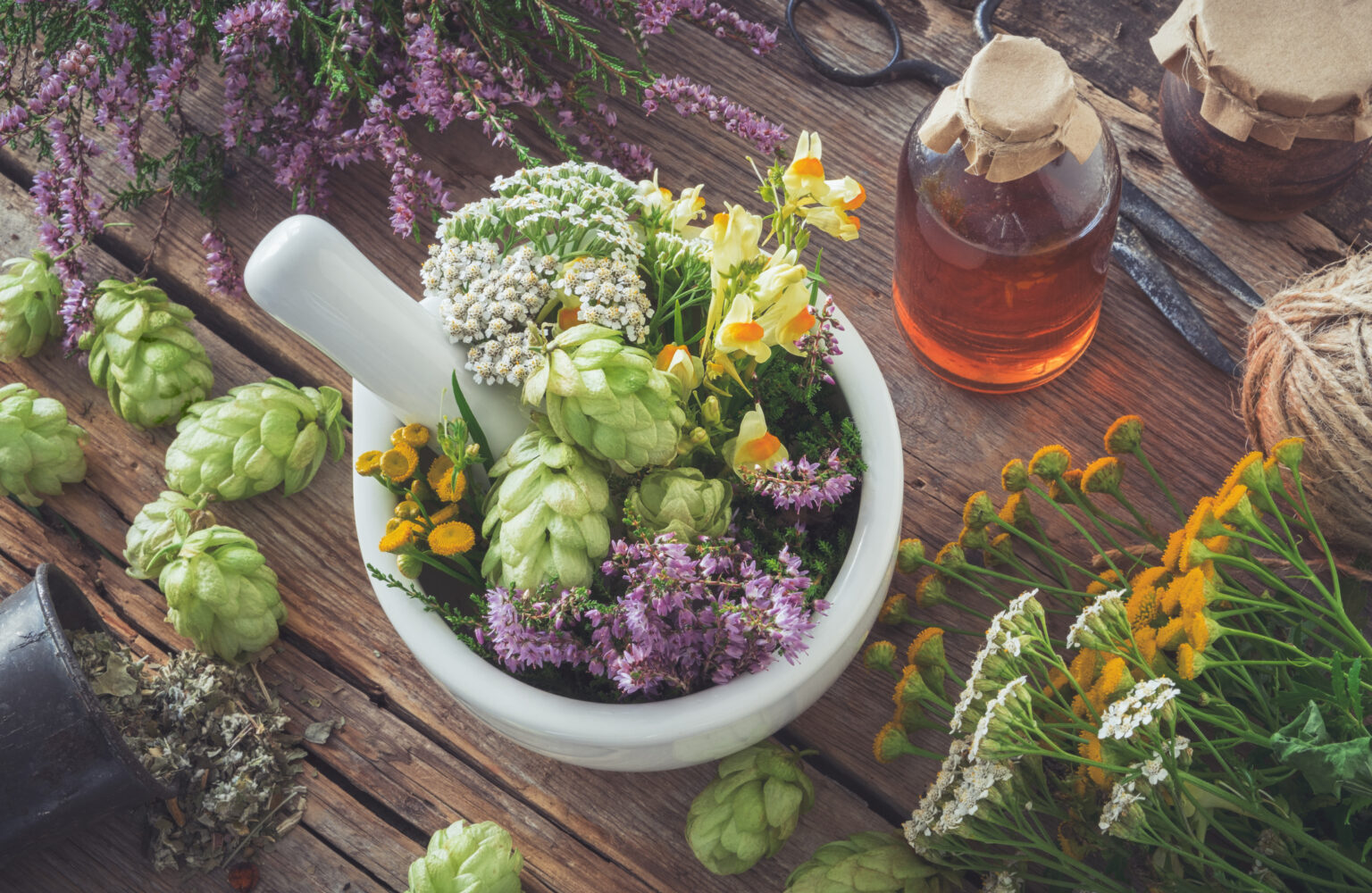 Herbs v brain inflammation – how can you help yourself? 669b6ffd44c67.jpeg