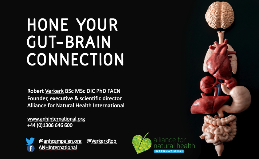Hone your gut brain connection 669a55414104a.png