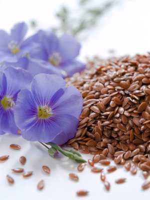 Illegal GM flax seed found in Marks & Spencer bread 669bda13b318e.jpeg