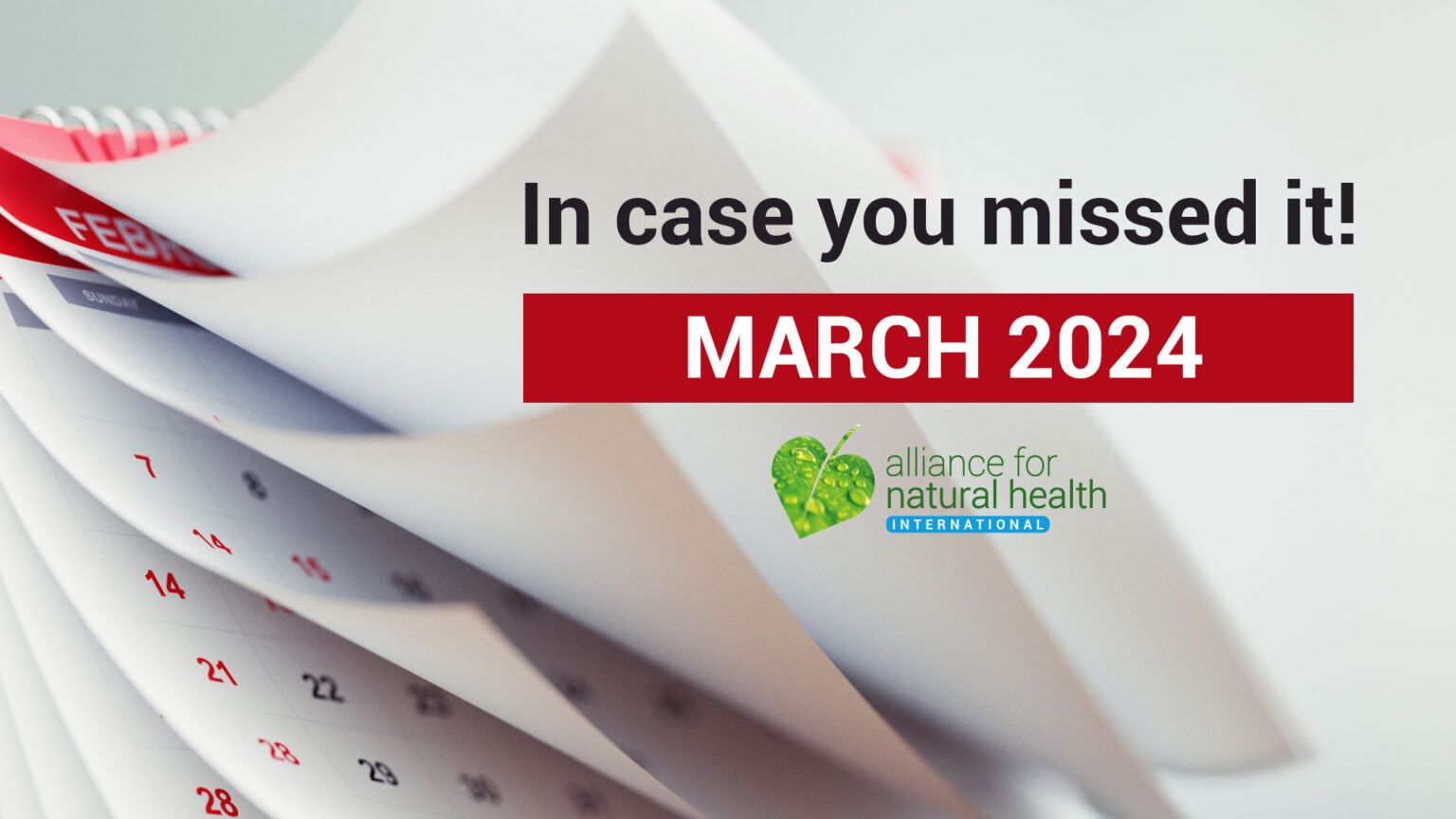 In Case you Missed it – March 2024 669a8221acb84.jpeg