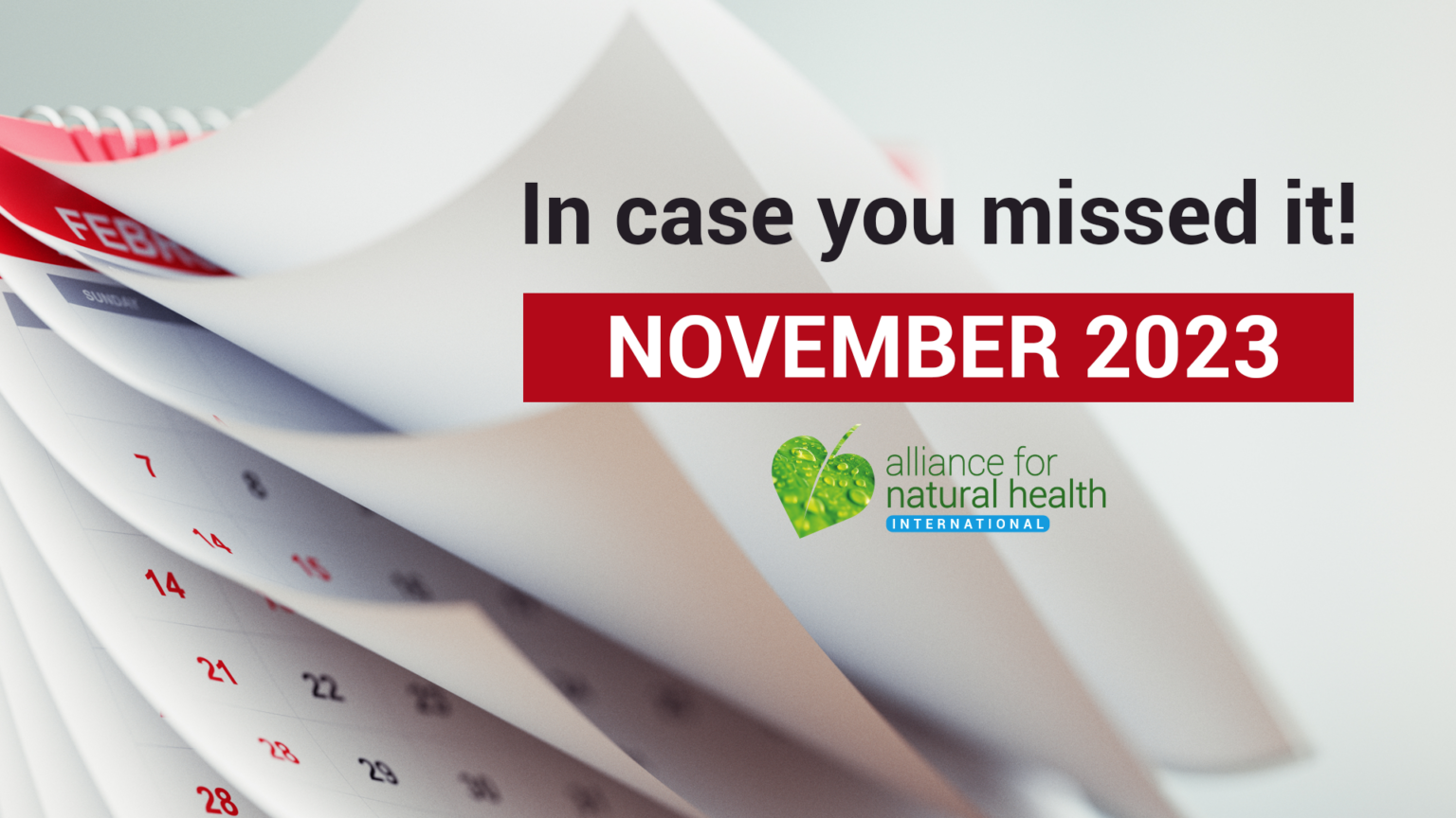 In case you missed it – November 2023 669a83f6a213d.png