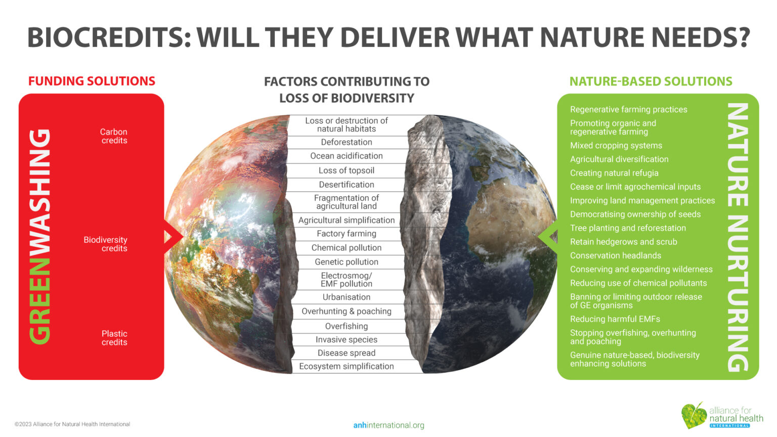 In case you missed it – November 2023 669a83fdc1a86.jpeg