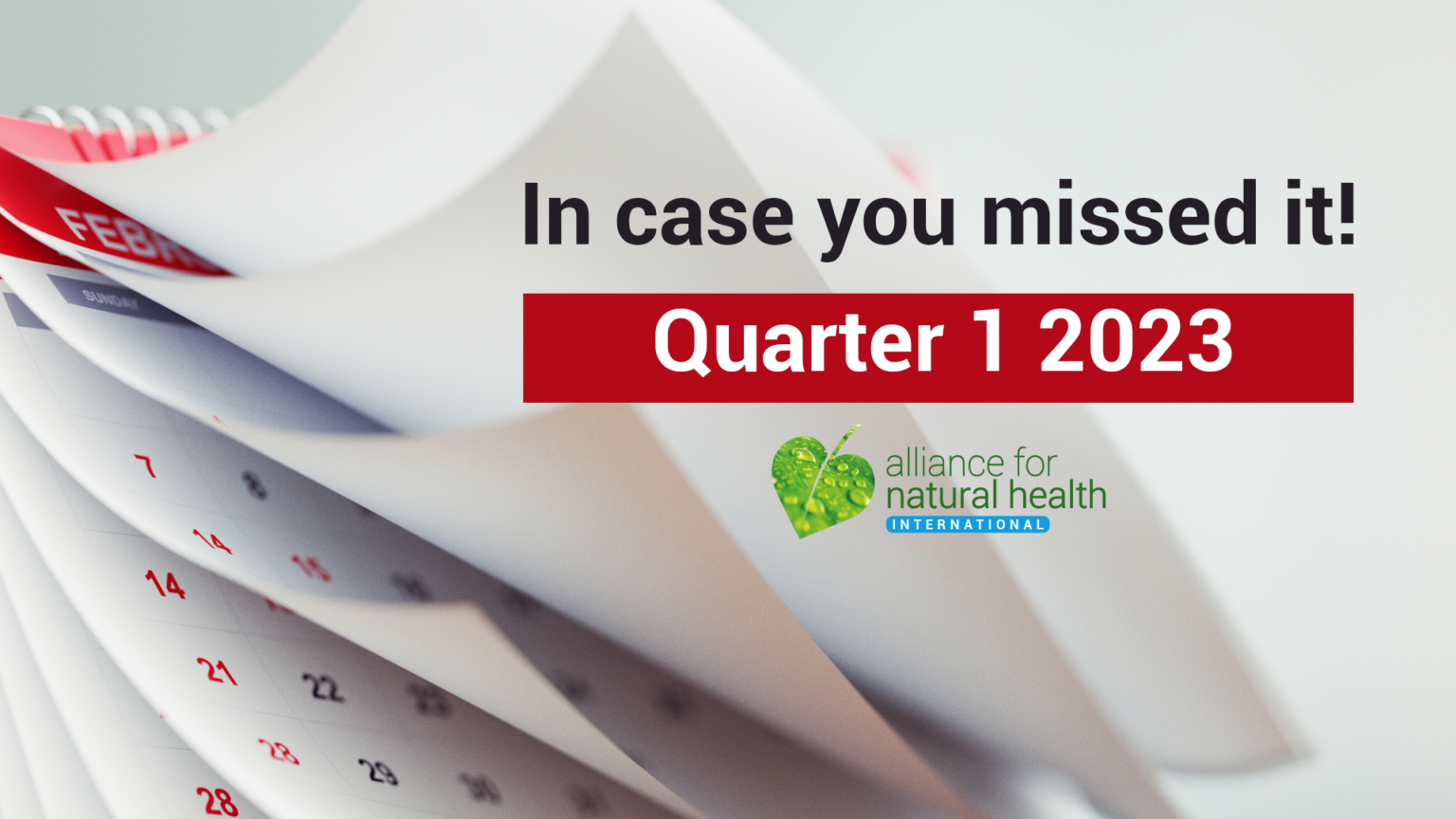 In case you missed it – Q1 2023 669a94bf2a972.png