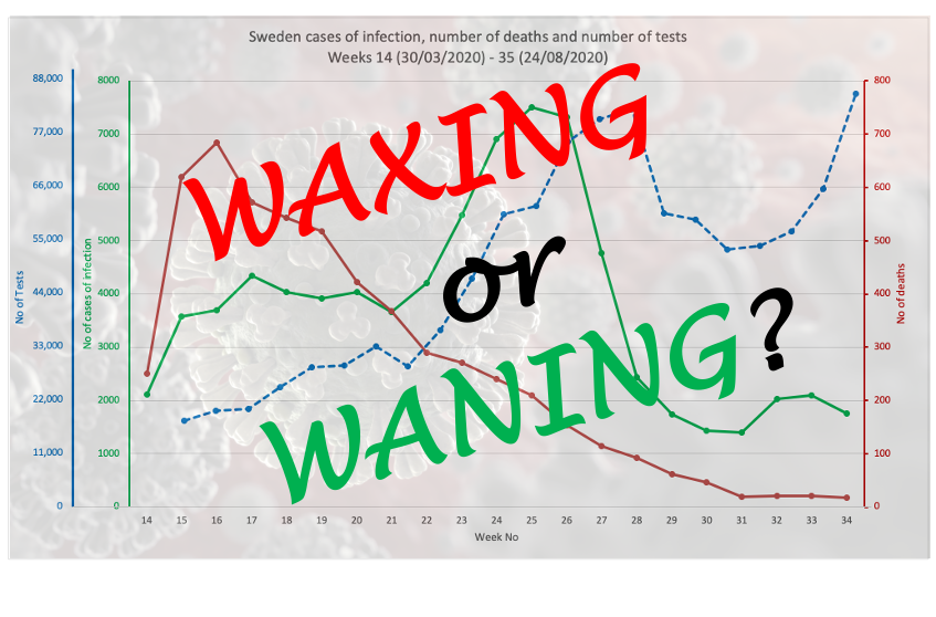 Is there a waning pandemic behind the ‘casedemic’ 669b6f8db0d09.png