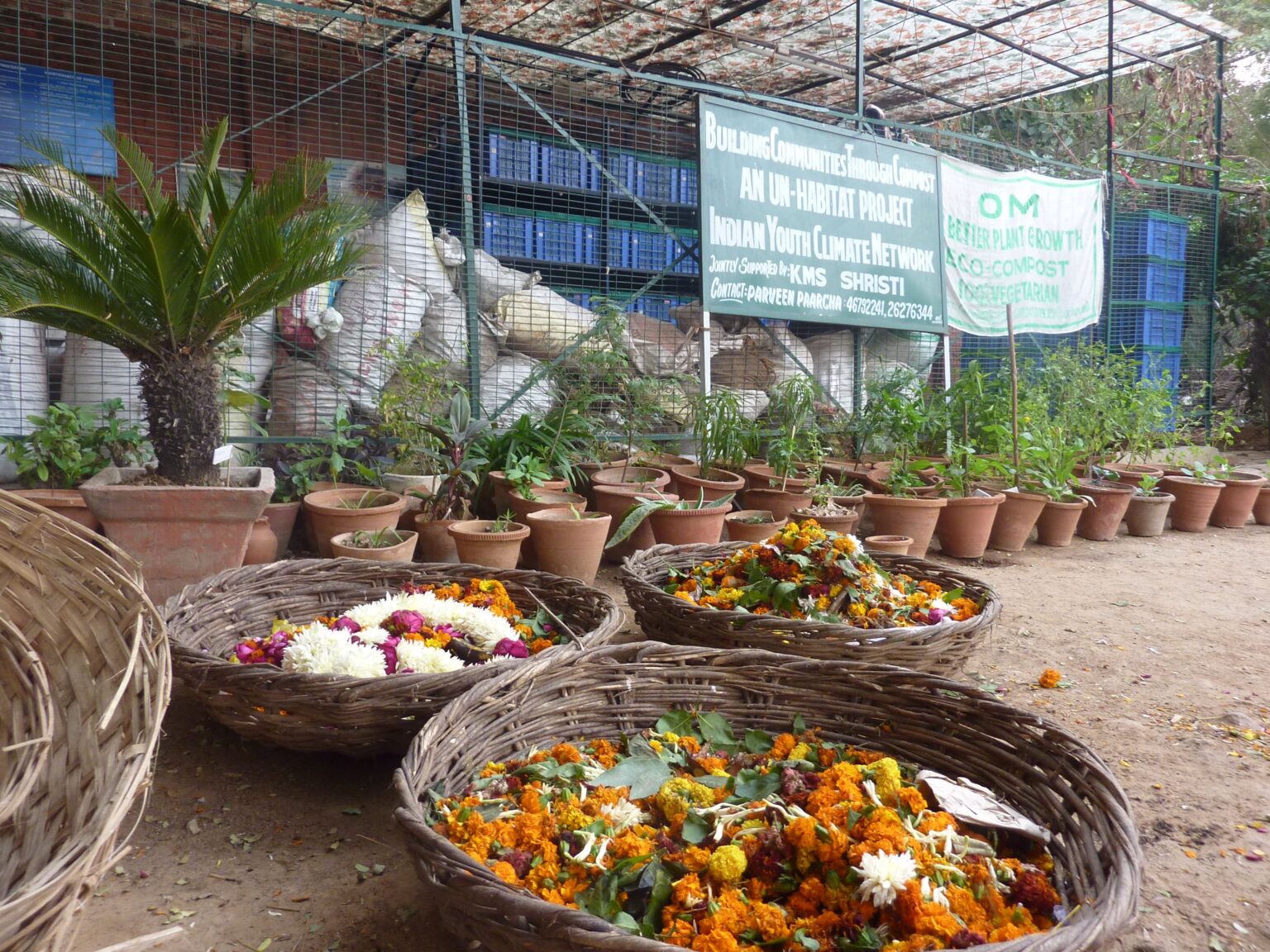 Lessons on overcoming Monsanto supremacy from India 669bce1072349.jpeg