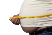Media awash with news of global obese nation 669bd0e87207e.jpeg