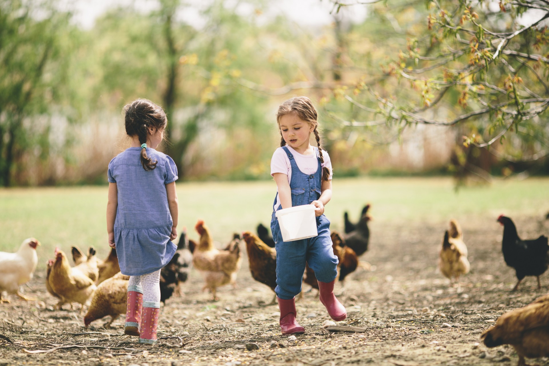 ThinkstockPhotos-486671467