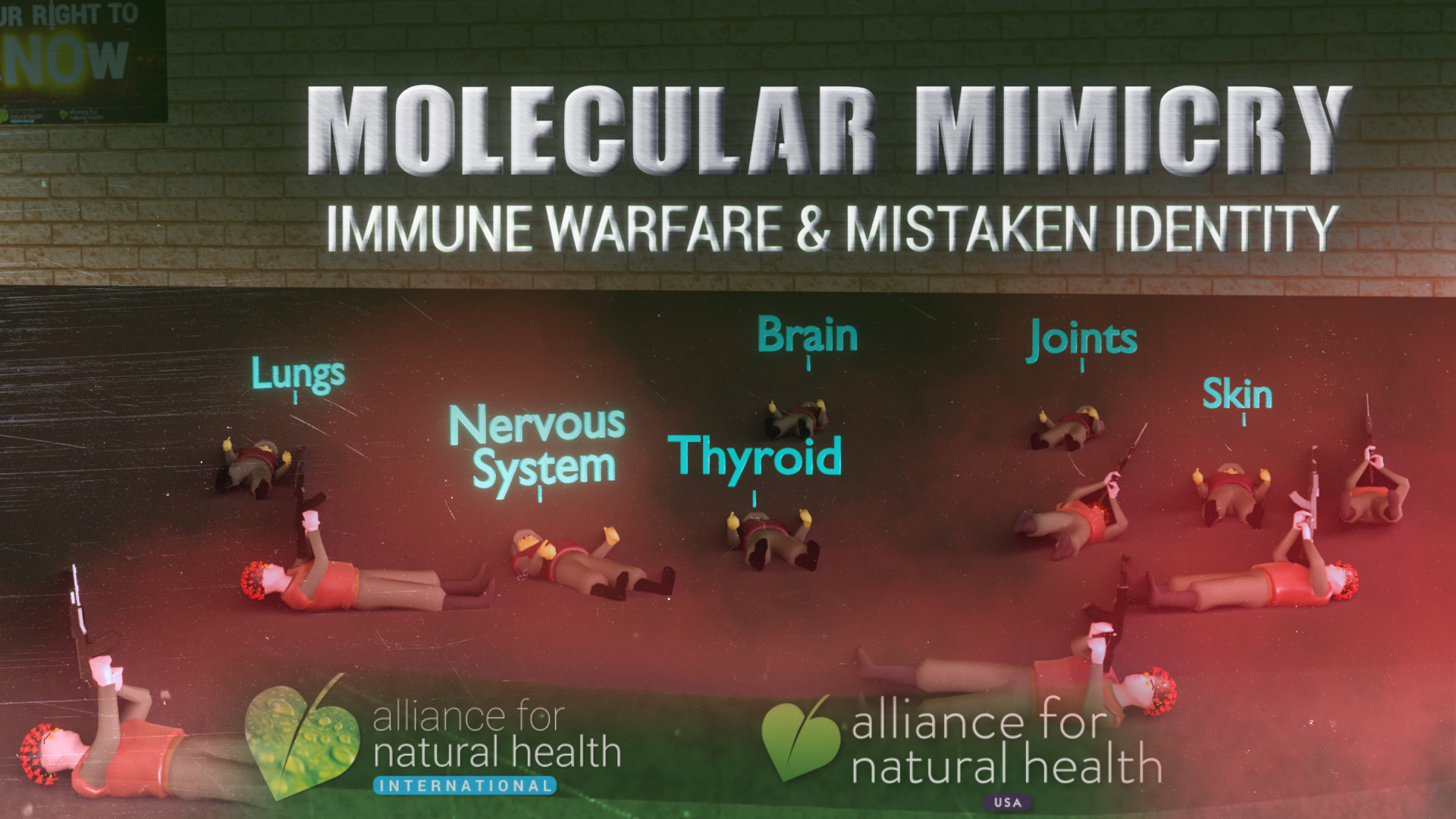 Molecular mimicry – the loaded gun for the autoimmune 669b6c2d4b817.jpeg