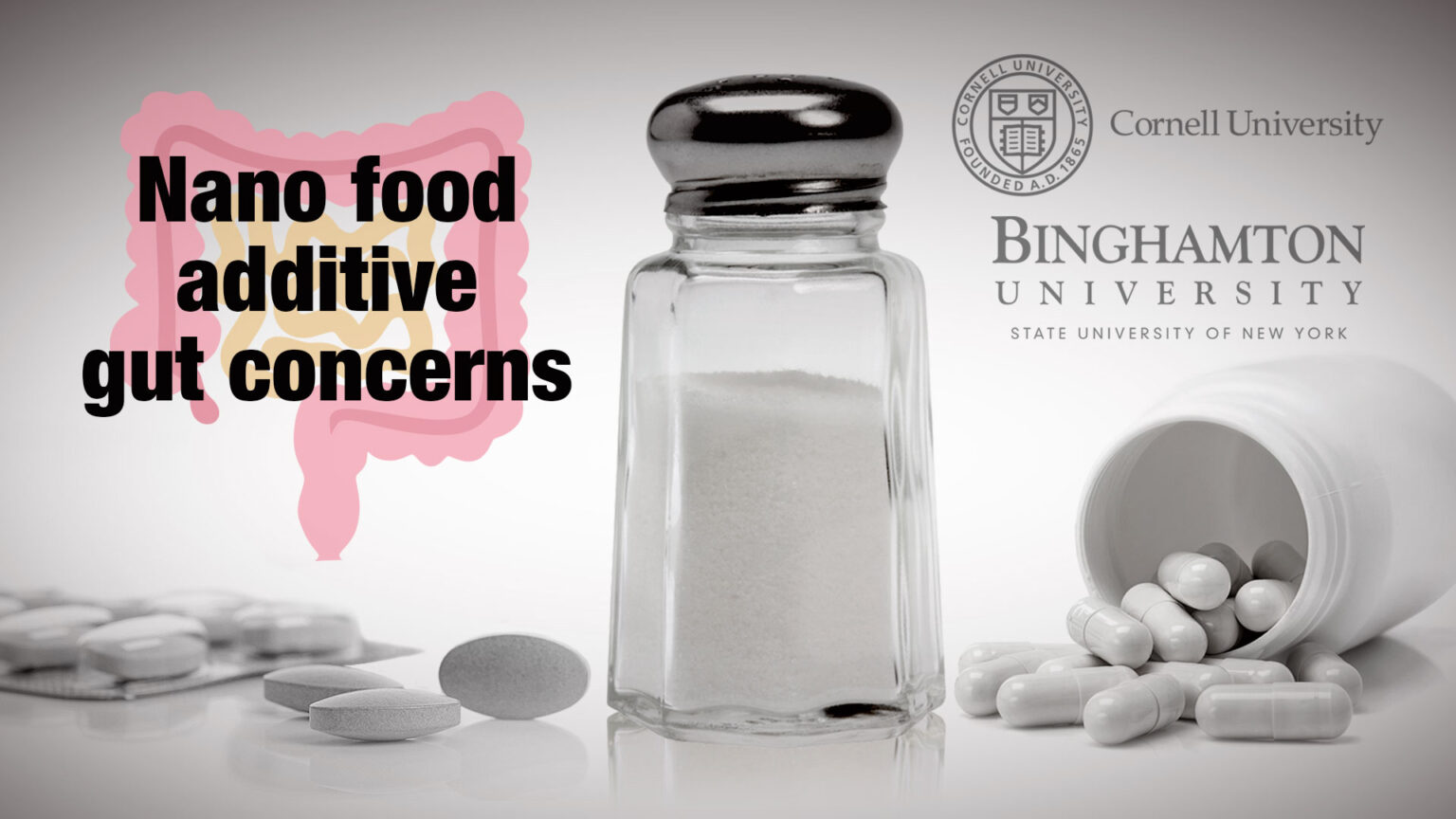 Nano sized food additives may be harming your gut 669a94e1de92e.jpeg