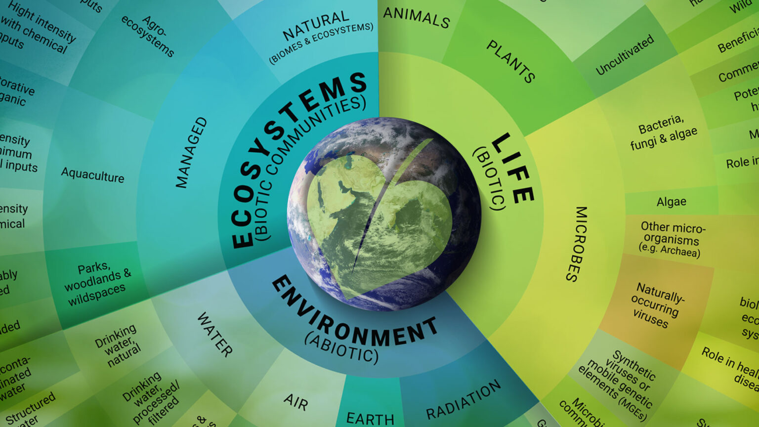 Natural health: one picture, a million threats and opportunities 669a92b8b9eae.jpeg