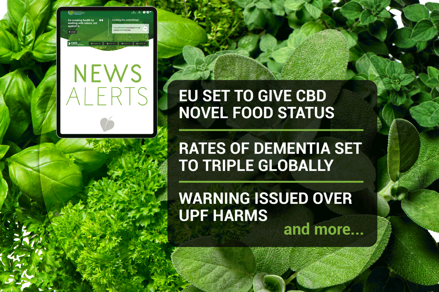 Natural News Roundup (week 03/2022) 669b6939943d0.png