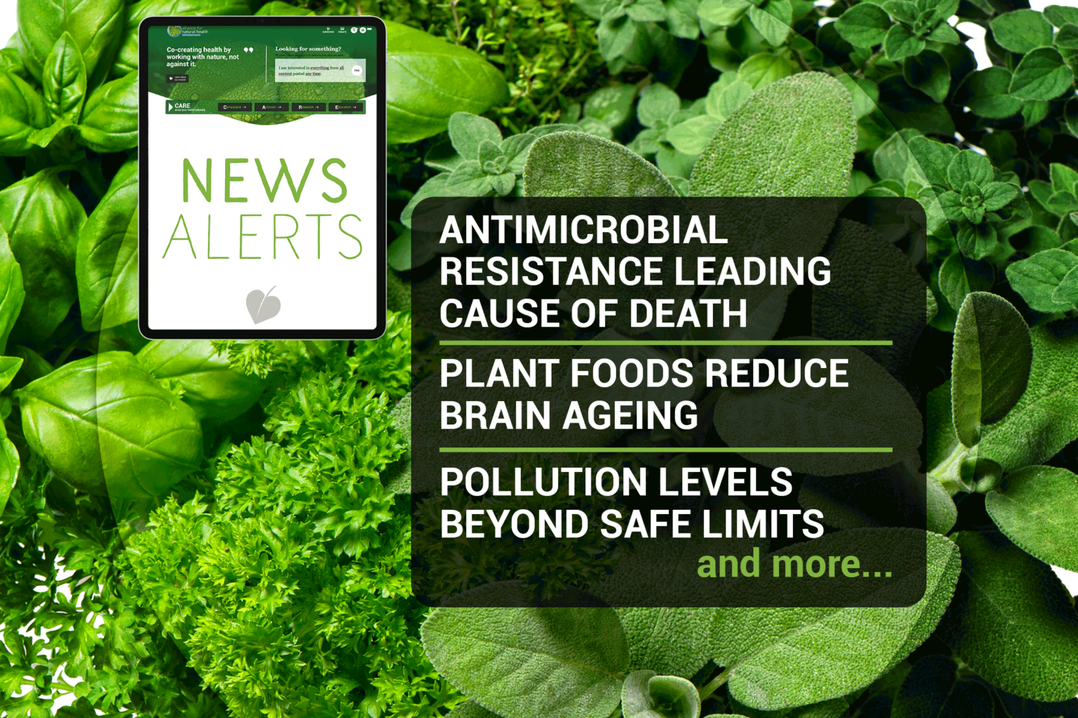 Natural News Roundup (week 04/2022) 669b690c38bf4.png