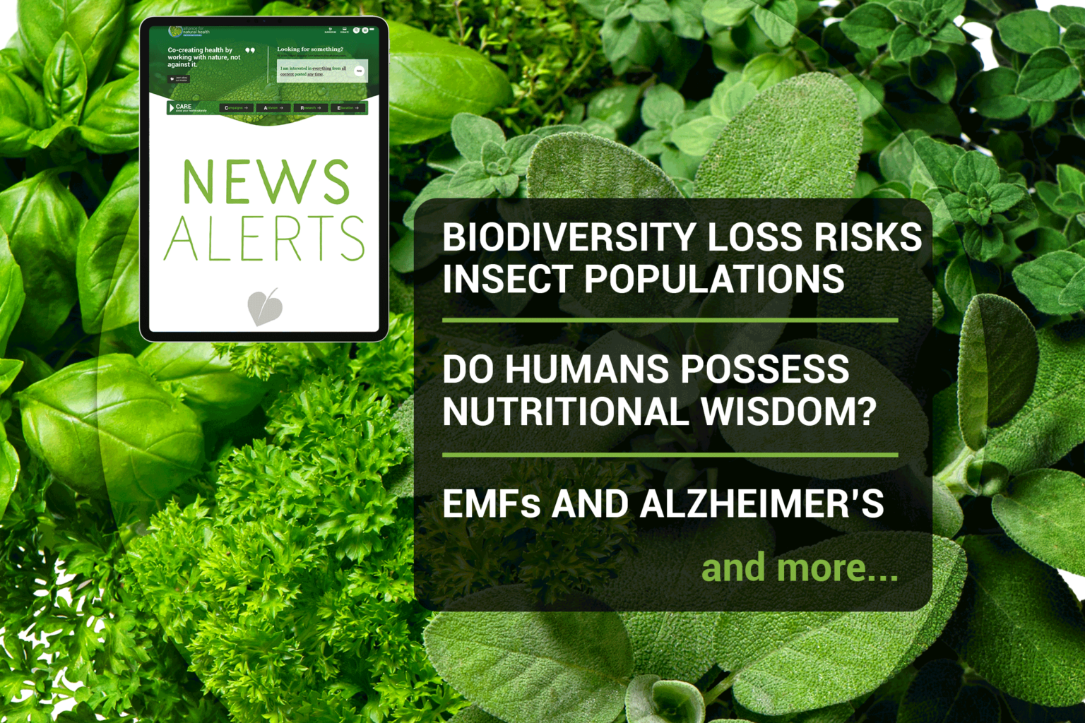 Natural News Roundup (week 17/2022) 669b5e194b1dd.png