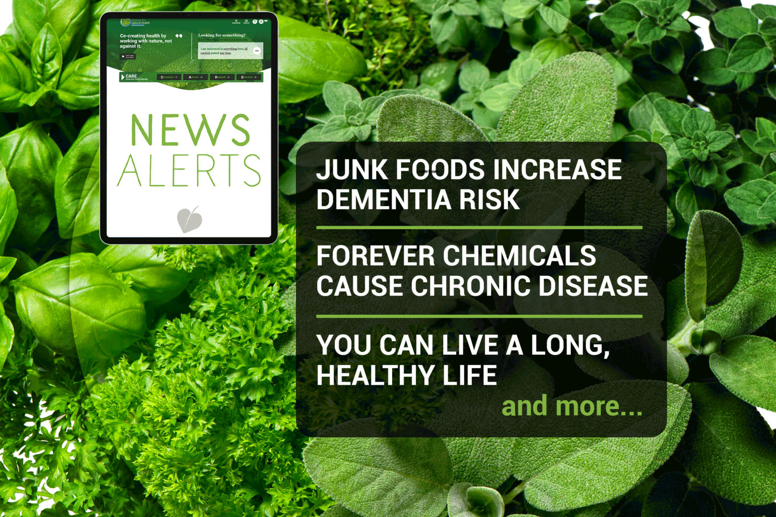 Natural News Roundup (week 31/2022) 669b58213a3e9.png