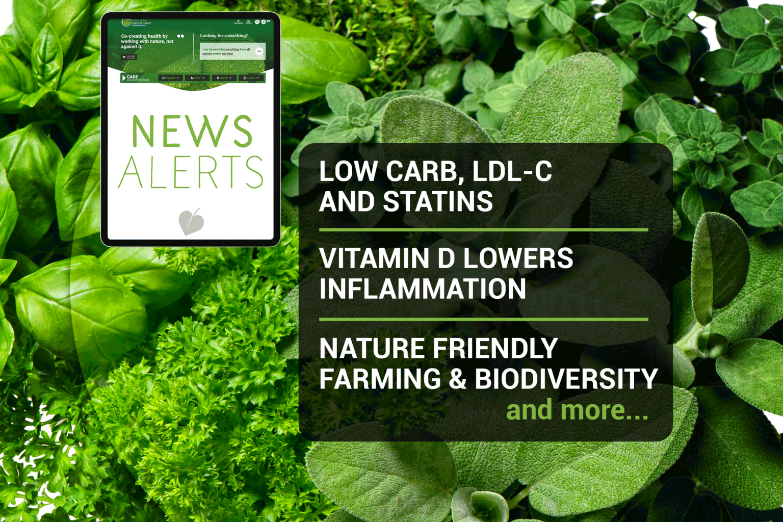 Natural News Roundup (week 32/2022) 669b57dab0d1f.png