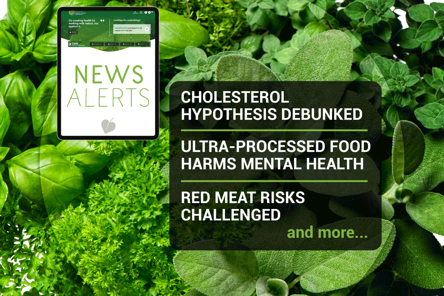 Natural News Roundup (week 35/2022) 669b094cd9bc1.png