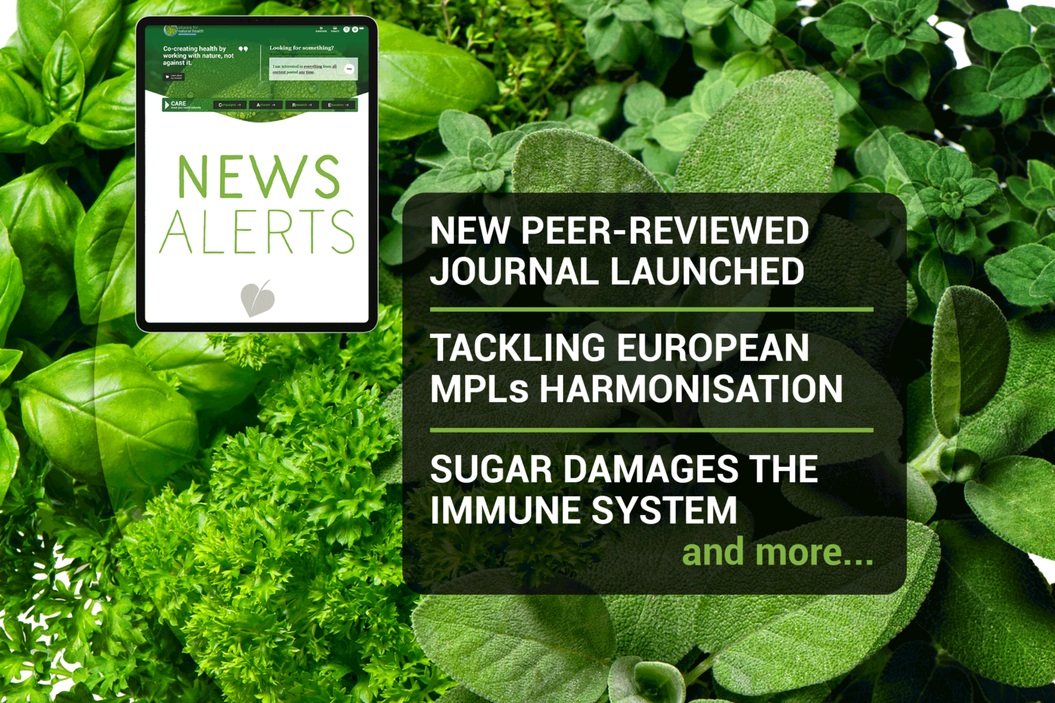 Natural News Roundup (week 36/2022) 669b091036c70.png