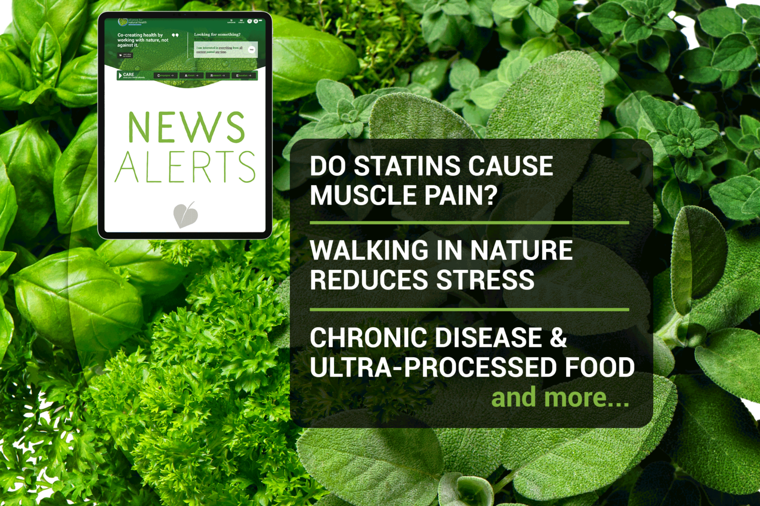 Natural News Roundup (week 37/2022 669b08d455c94.png