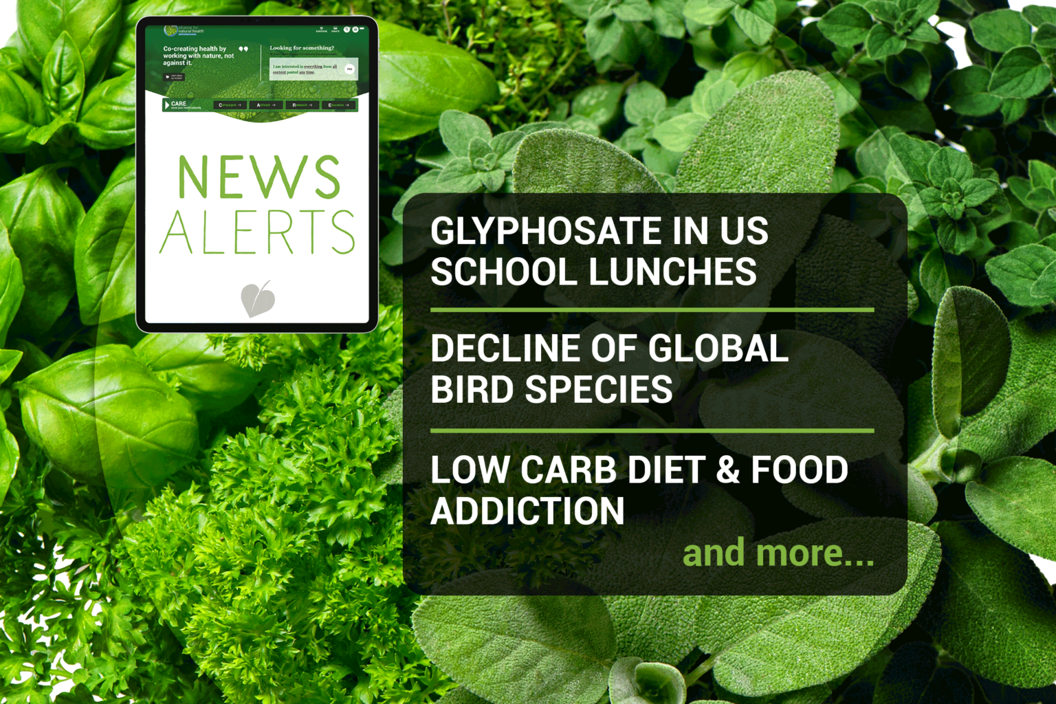 Natural News Roundup (week 40/2022) 669b0802ecc98.png