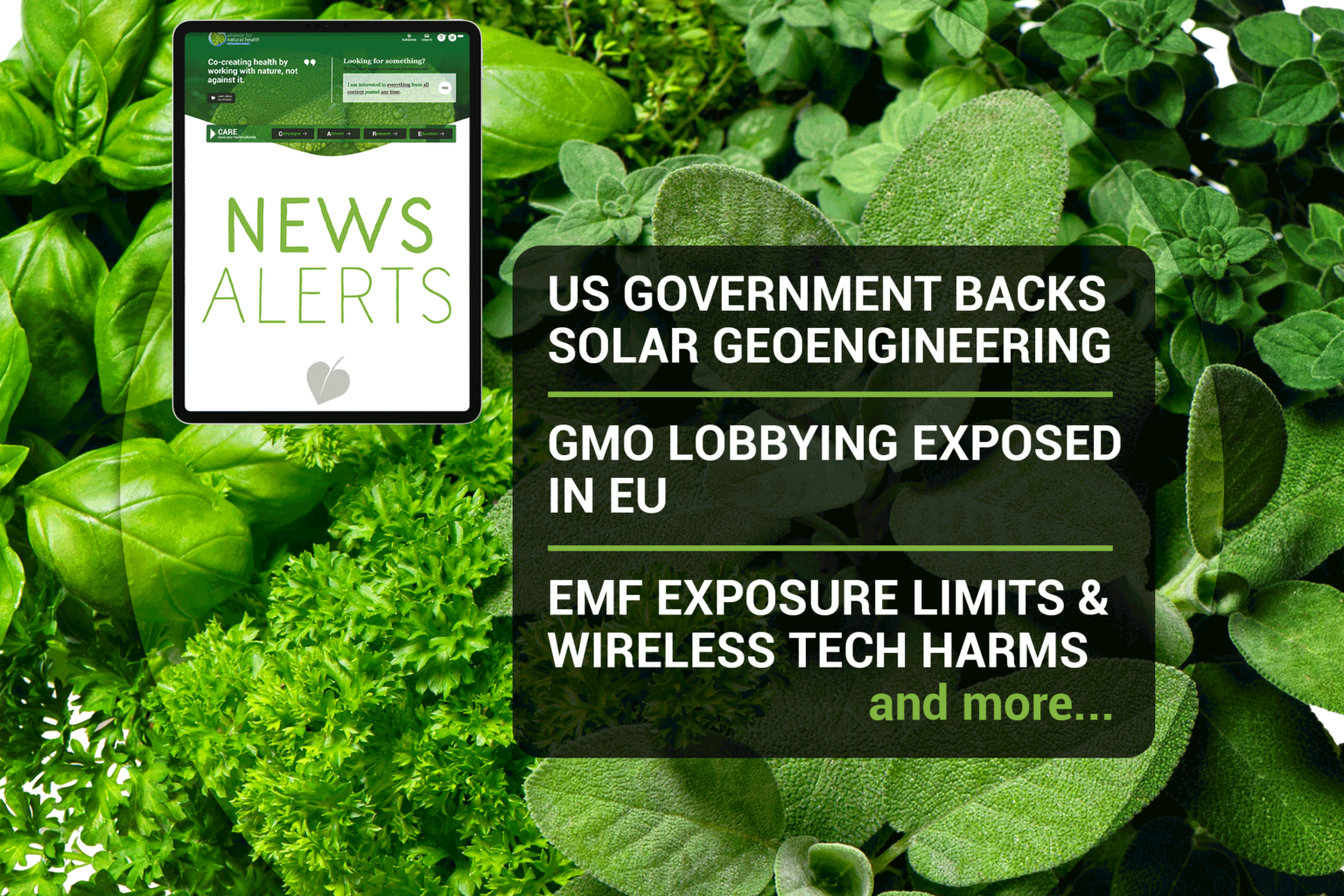 Natural News Roundup (week 42/2022) 669b079982bd8.png
