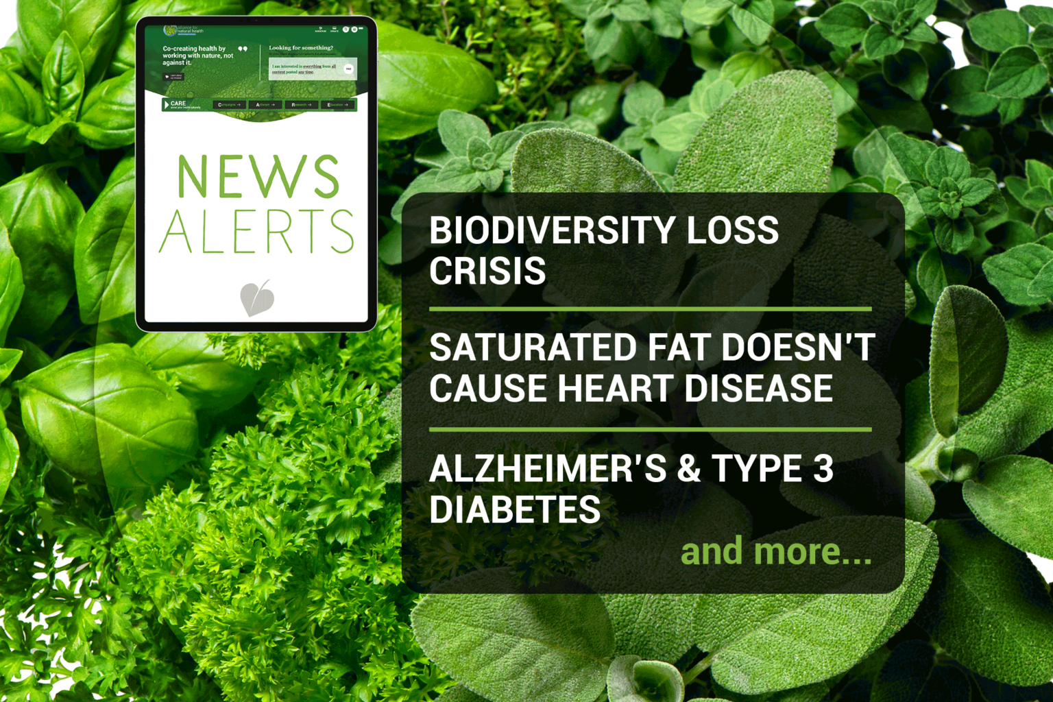 Natural News Roundup (week 51/2022) 669b0643abfbe.png
