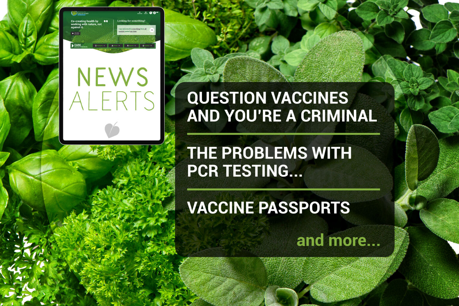 News Alerts: Week 08, 2021 669b6d4721bbe.jpeg