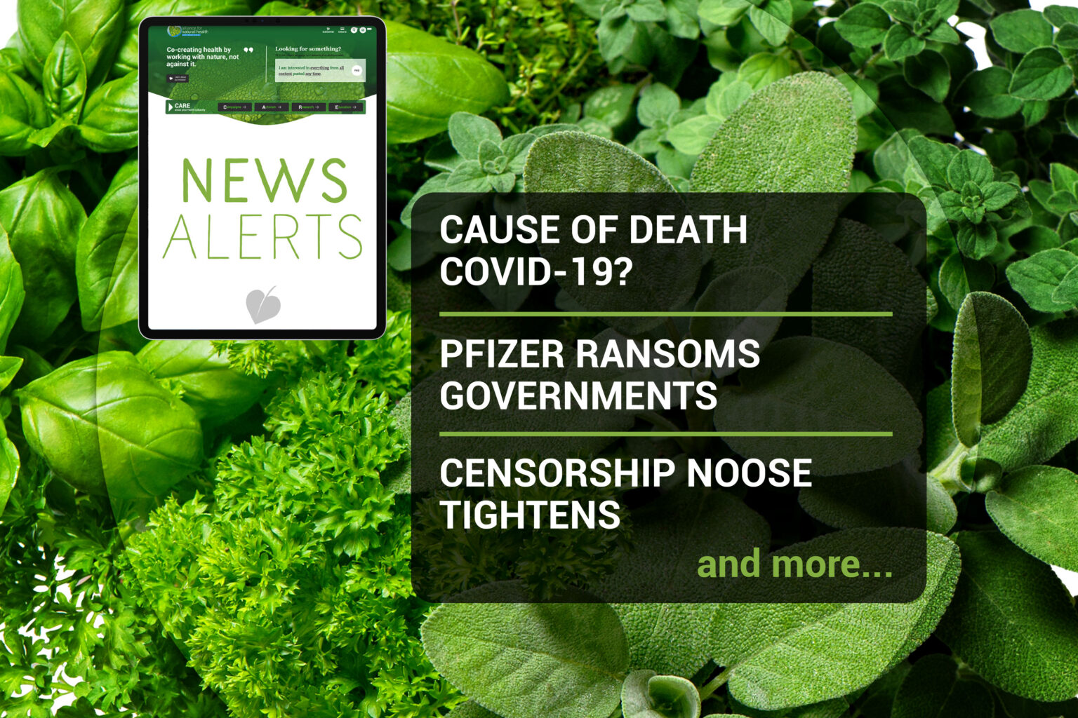 News Alerts: Week 09, 2021 669b6d32c08f5.jpeg