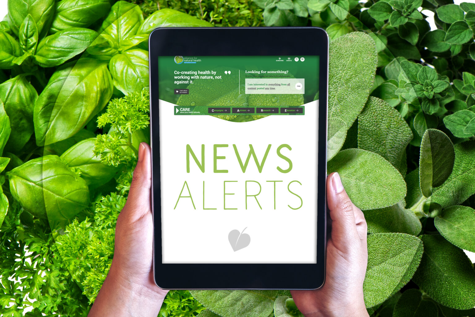 News Alerts: Week 13, 2019 669ba2b868960.jpeg