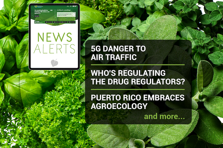 News roundup (week 01/2022) 669b698b01cbb.png