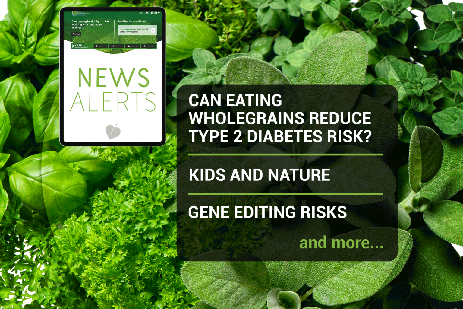News roundup (week 43/2021) 669b6a7a68548.png