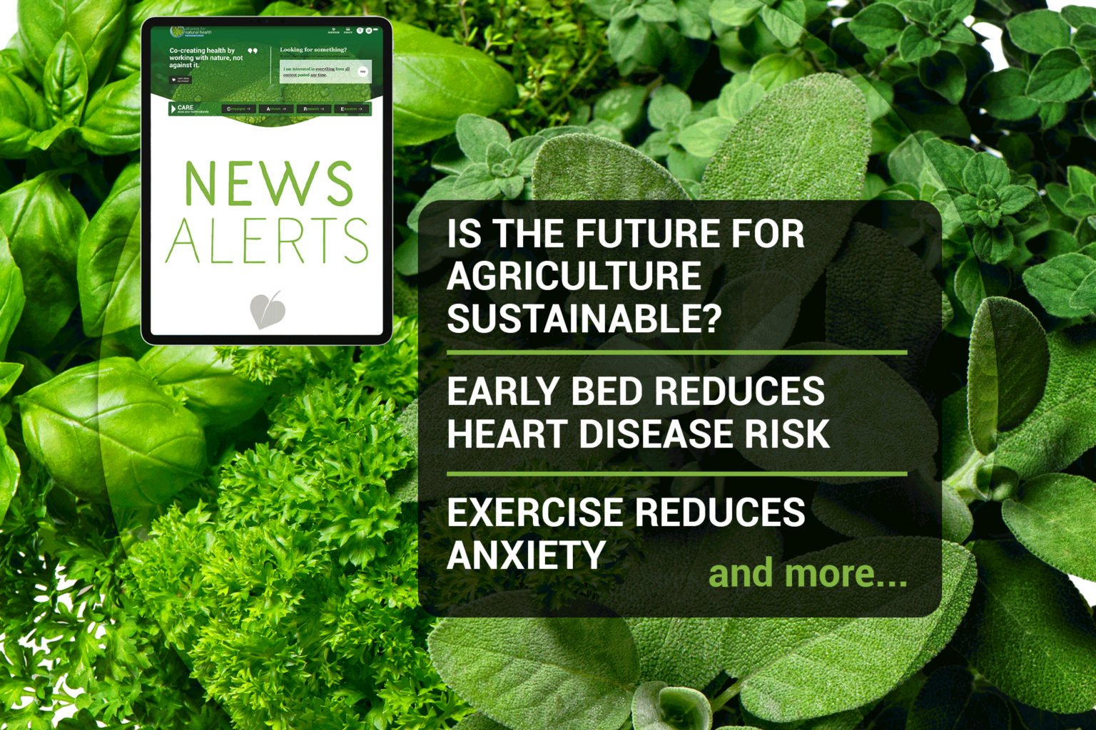 News roundup (week 45/2021) 669b6a59bdb9b.png