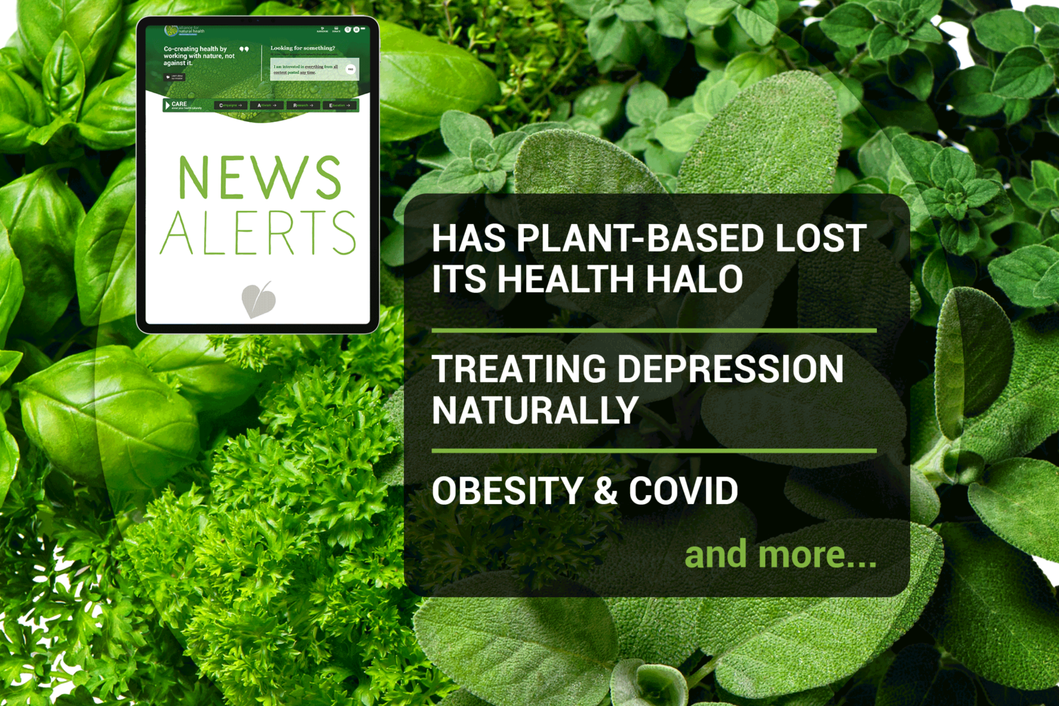 News roundup (week 47/2021) 669b6a2d14e58.png