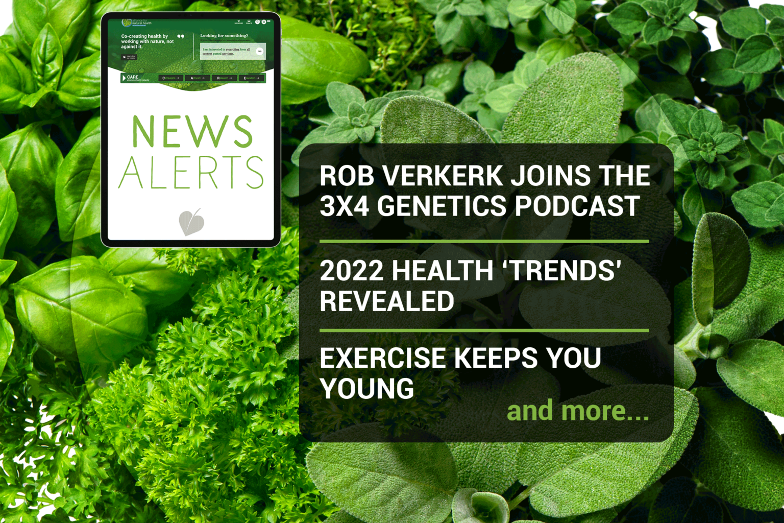 News roundup (week 48/2021) 669b6a0675012.png